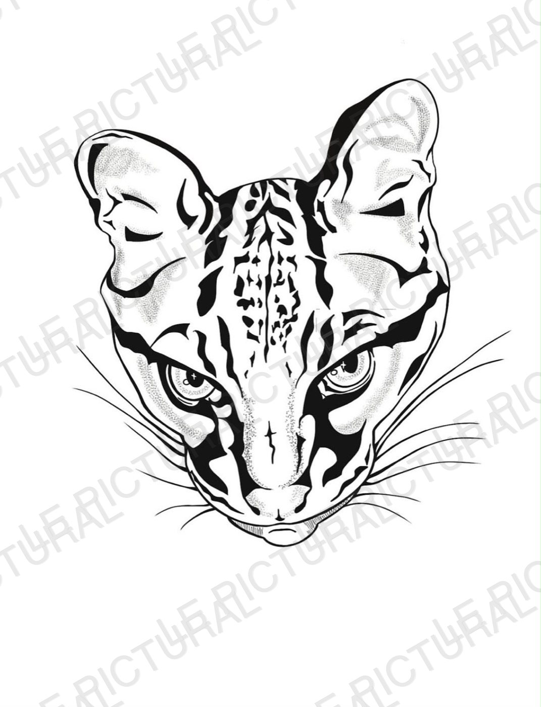 Dessin d'une tête d'ocelot